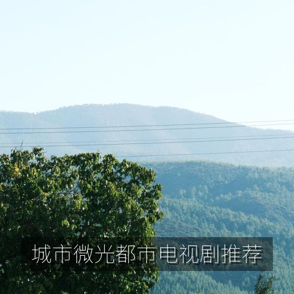 城市微光都市电视剧推荐